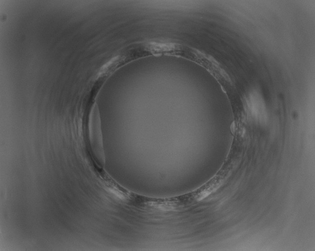 X0000051240763200506171110