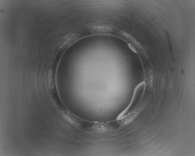 X0000051240764200506171110