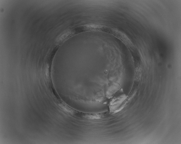 X0000051240765200506171110