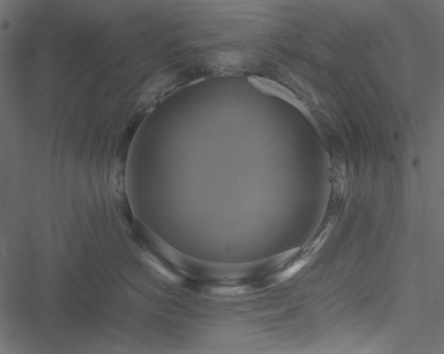 X0000051240766200506171110