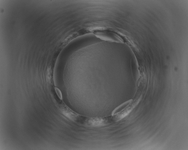 X0000051240767200506171110