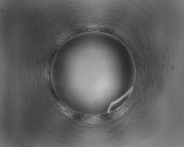 X0000051240768200506171110