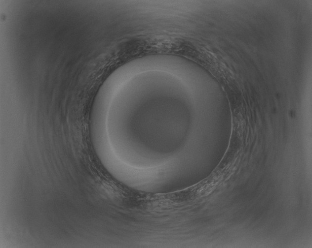 X0000051240769200506171109