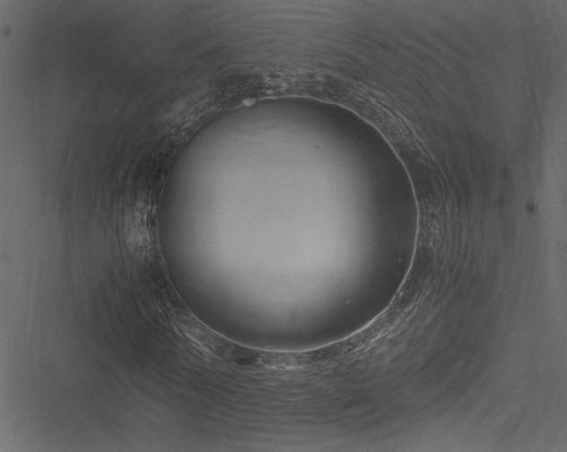 X0000051240770200506171109