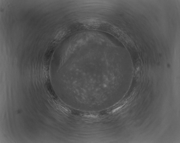 X0000051240772200506171109