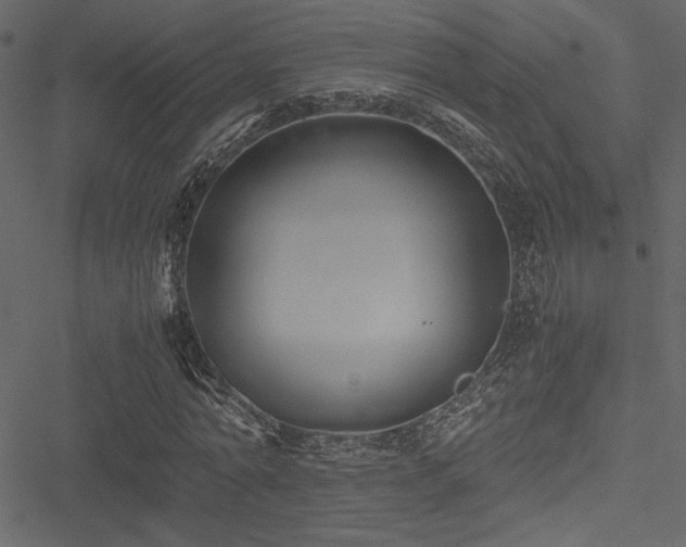 X0000051240774200506171109