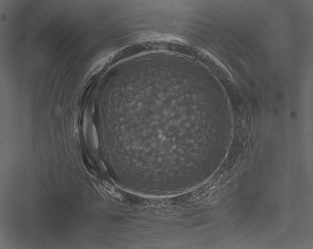 X0000051240775200506171109