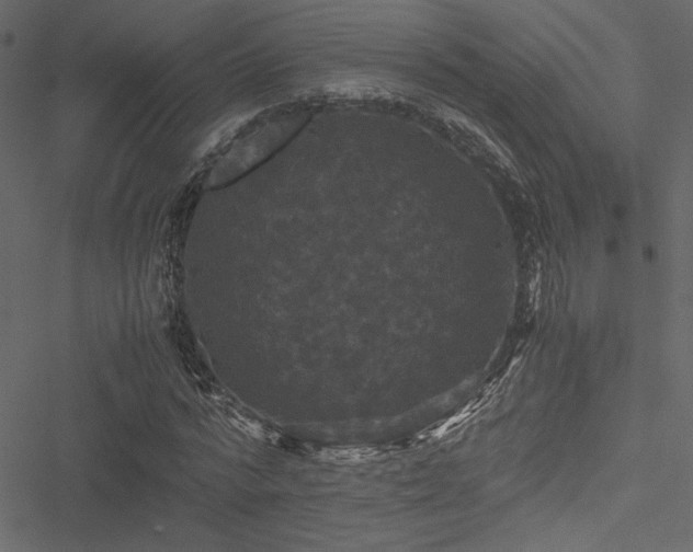 X0000051240776200506171109