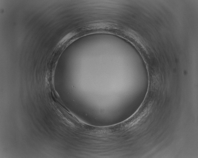 X0000051240778200506171109