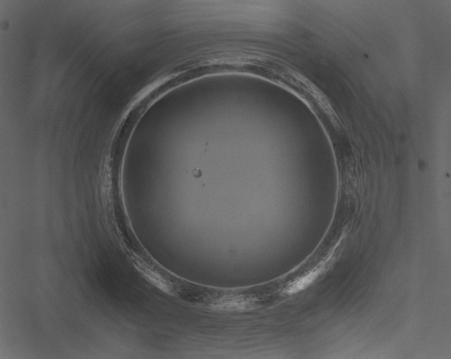 X0000051240779200506171109