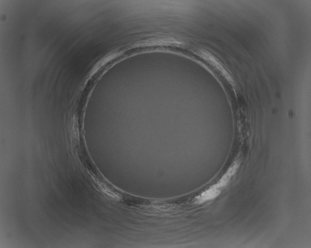 X0000051240781200506171109