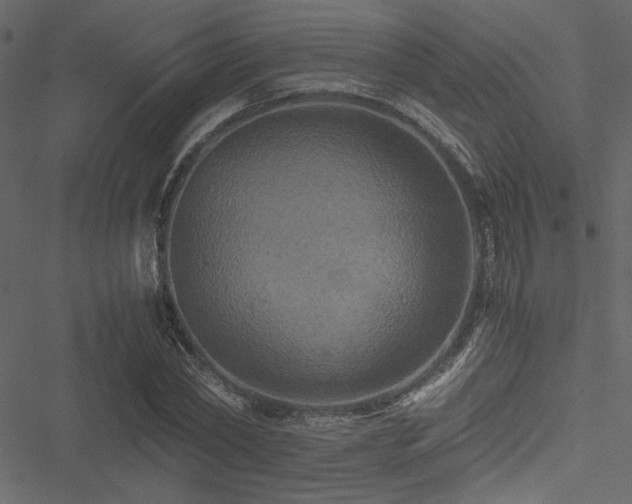 X0000051240782200506171109