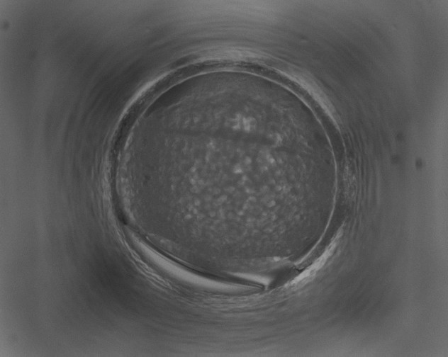 X0000051240783200506171109