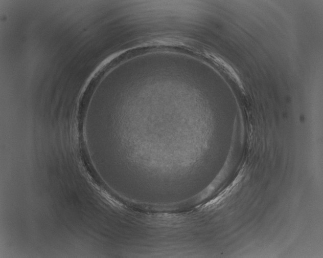 X0000051240784200506171109