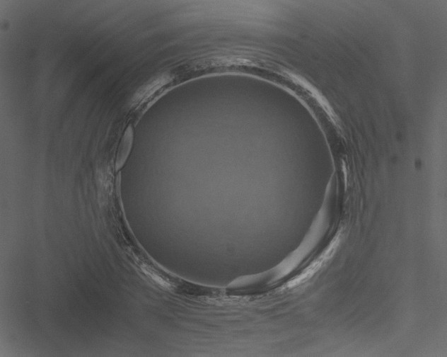 X0000051240785200506171109