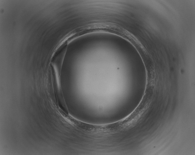 X0000051240786200506171109