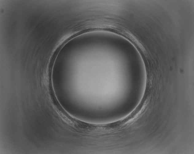 X0000051240787200506171109