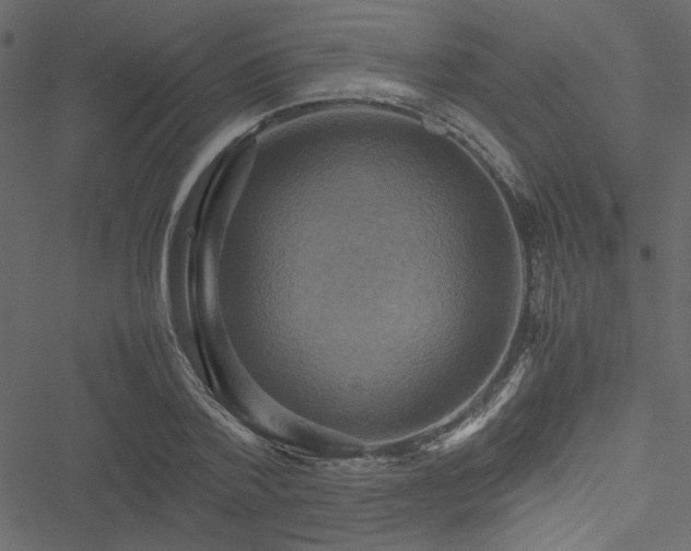 X0000051240788200506171109