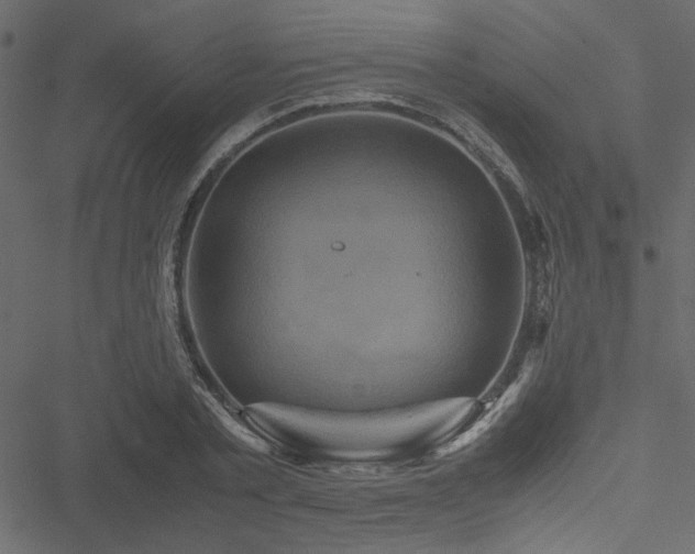 X0000051240789200506171109