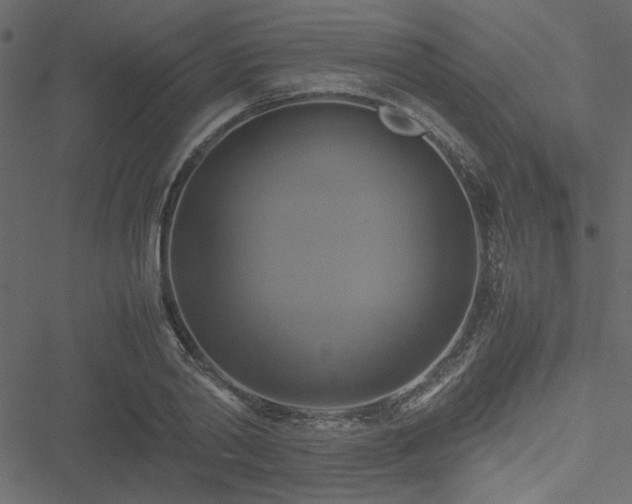 X0000051240790200506171109