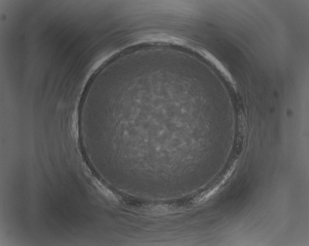 X0000051240791200506171109