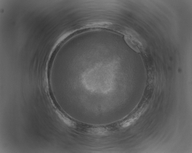 X0000051240792200506171109