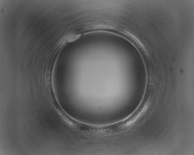 X0000051240793200506171109