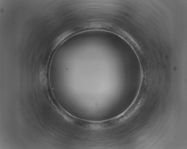 X0000051240794200506171109