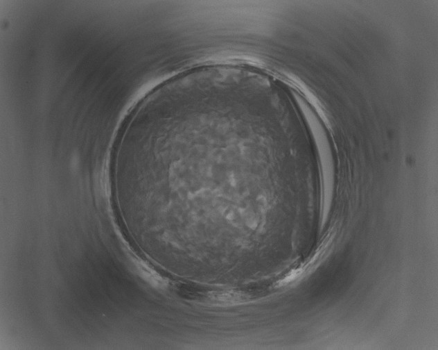 X0000051240795200506171109