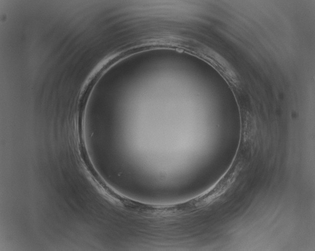 X0000051240796200506171109