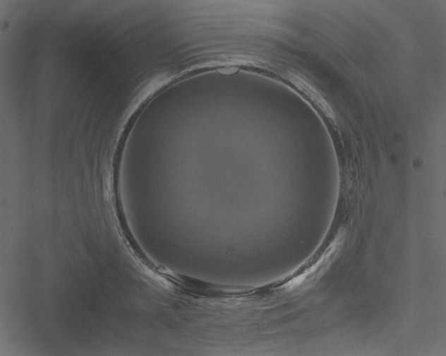 X0000051240797200506171109