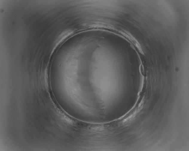 X0000051240798200506171109