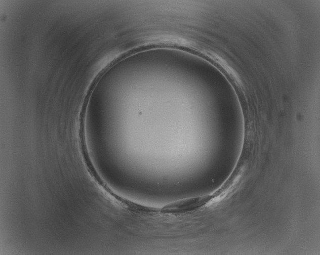 X0000051240799200506171109