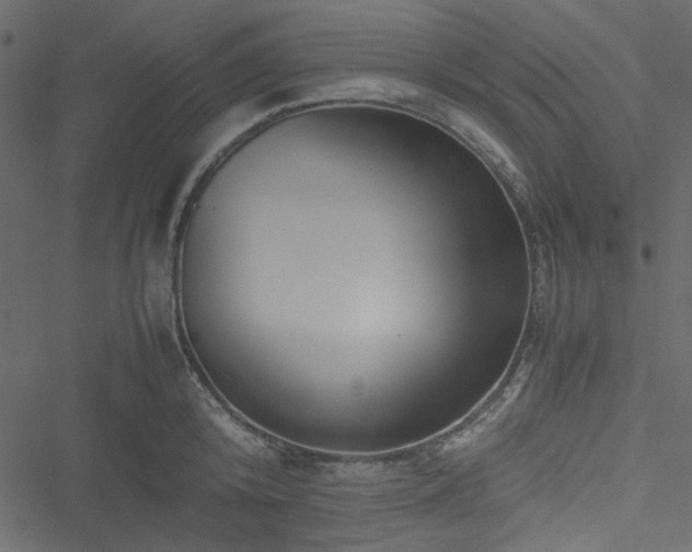 X0000051240800200506171109