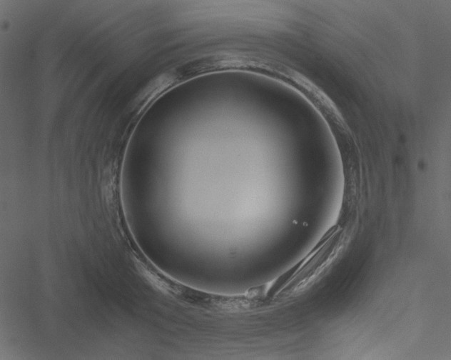 X0000051240801200506171109