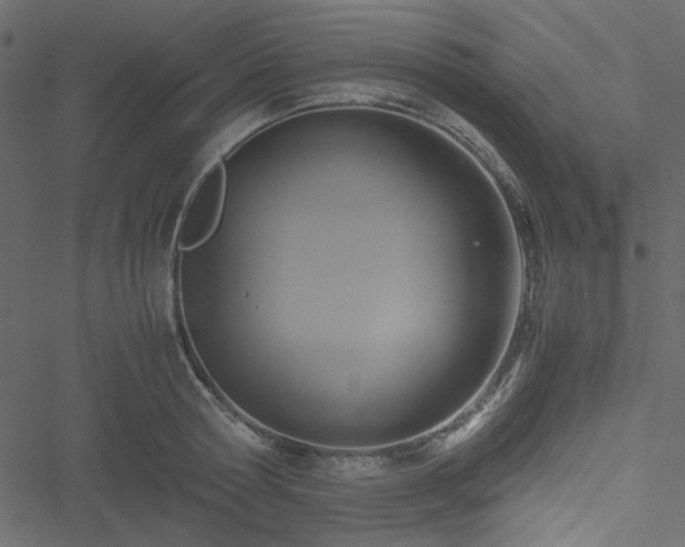 X0000051240802200506171109