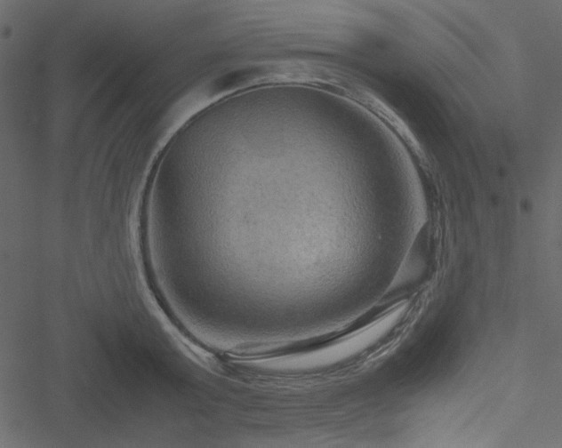 X0000051240803200506171109