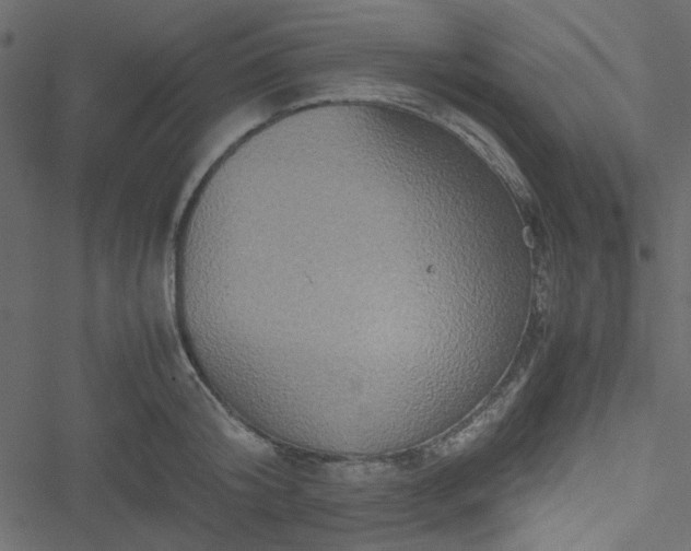 X0000051240804200506171109