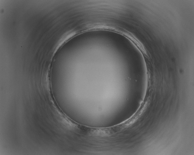 X0000051240806200506171109