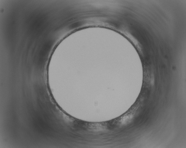 X0000051240807200506171109