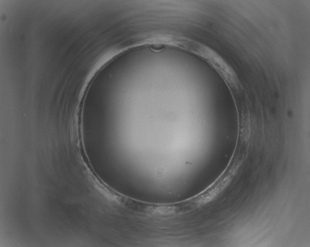 X0000051240808200506171109