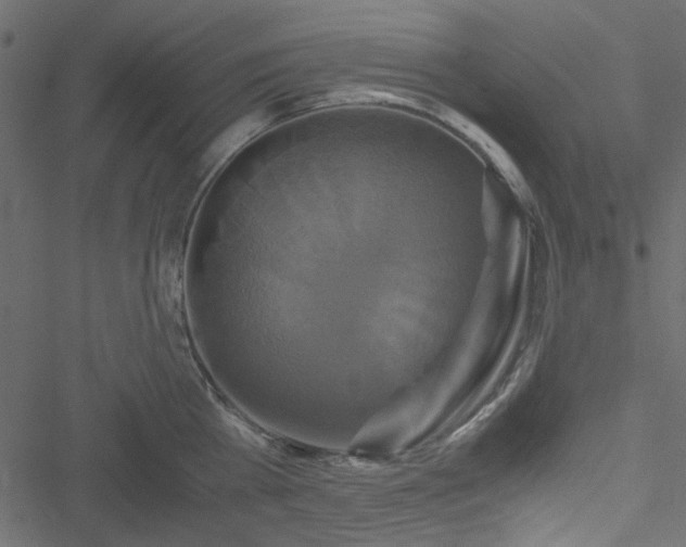 X0000051240809200506171109