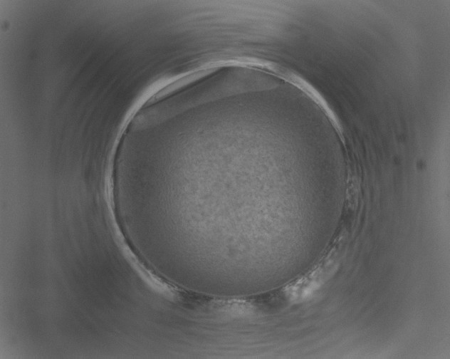 X0000051240811200506171109