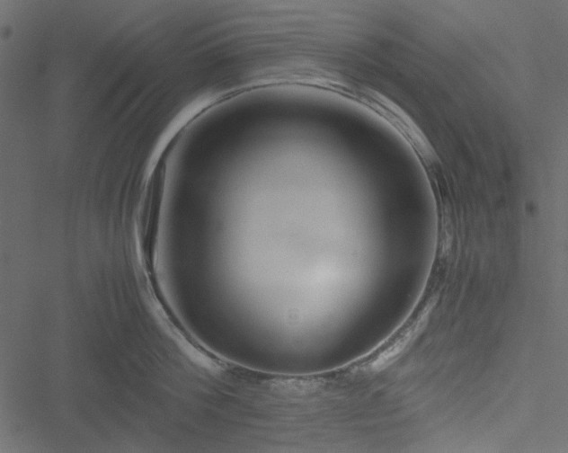 X0000051240812200506171109