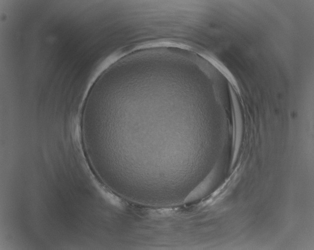 X0000051240813200506171108