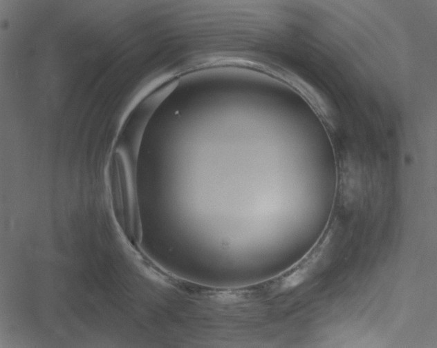 X0000051240814200506171108