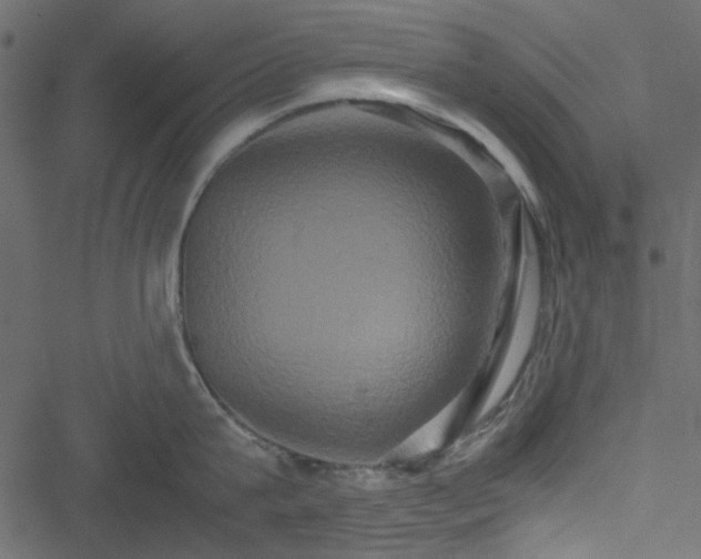 X0000051240815200506171108