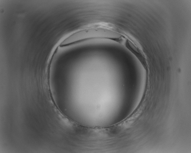 X0000051240816200506171108