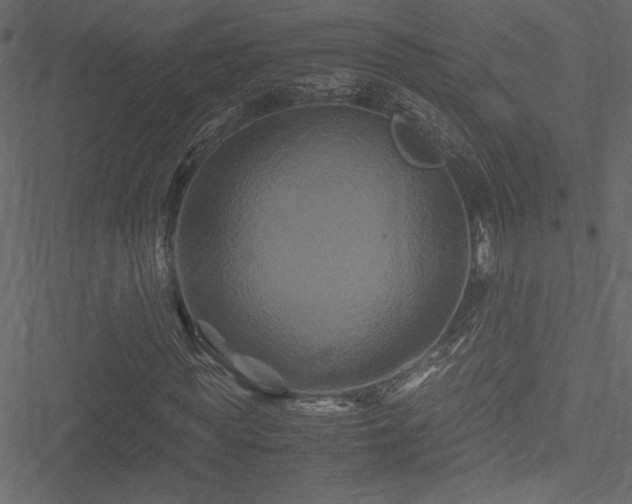 X0000051240819200506171108