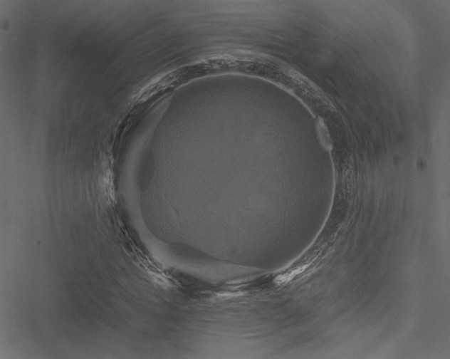 X0000051240822200506171108